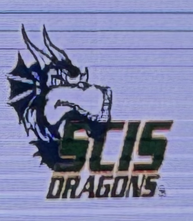 team logo