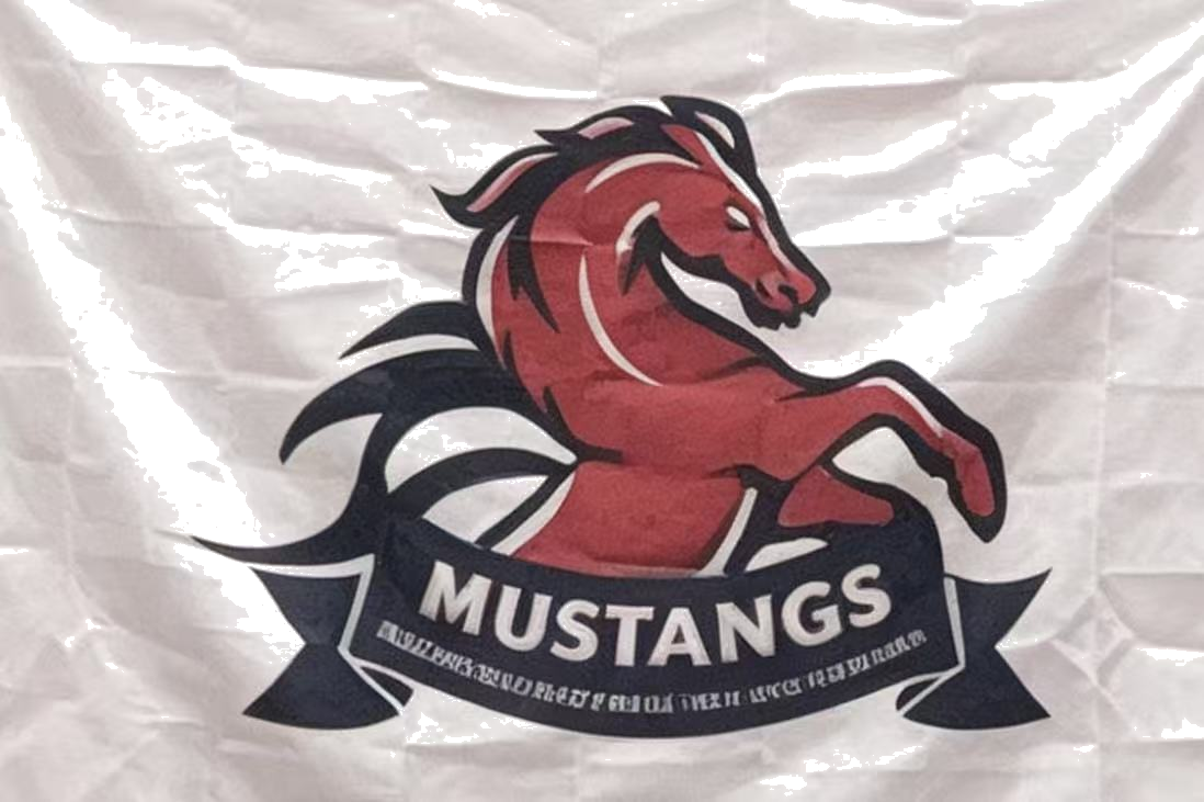 team logo