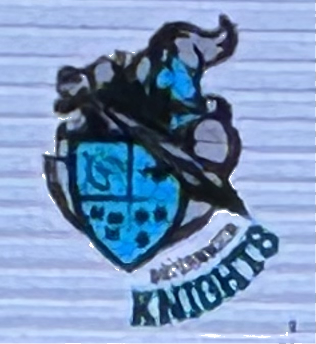 team logo