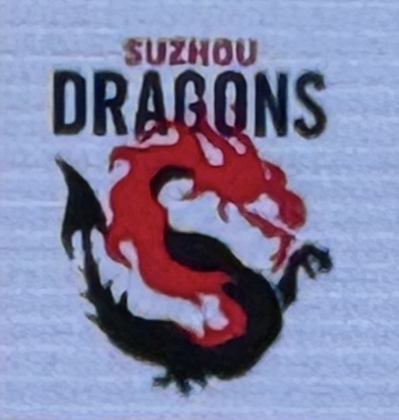 team logo